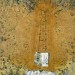 Mary Mountcastle Eubank, Tree Ladder Book, acrylic on canvas with mixed media, 60” x 78 thumbnail