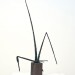 Marj Burgstahler Stone, Gun Club-11, Question thumbnail