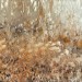 Igor Sazevich, Squared, oil:canvas, 24x24 thumbnail