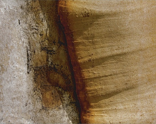 Marna Clarke _Madrone #53_photograph_26x20