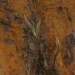 Marna Clarke_Madrone #20_photograph_29x23