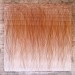t.c. moore, Smooth & Flowing Manner #1, acrylic & horsehair, 20 x 20