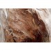 Tim Graveson — Splitwood Dragon thumbnail