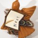 Loretta Farley, Nest thumbnail