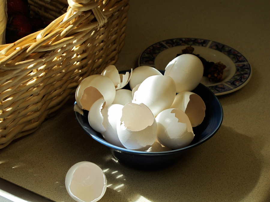 Morning Eggs by Yesenia Franco