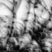 Tim Graveson, Annular Eclilpse, photograph thumbnail