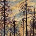 Corrine Haverinen, Lassen Burnt Grove 4, ink on paper 25x37 ins. thumbnail