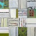 Will Thoms, The Soft Million Drops Coming Down, acrylic, metallic paint, watercolor pencil and paper on 16 panels, 38.5 x 38.5 ins., 2013 thumbnail