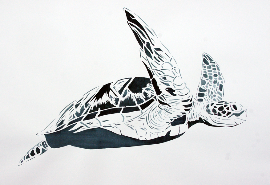 Xander Weaver-Scull, Green Sea-Turtle-22x30-ins, watercolor-monoprint stencil