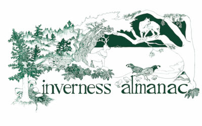 The Inverness Almanac: Collective Retrospective