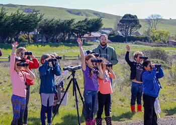 Birding in the Giacomini Wetlands