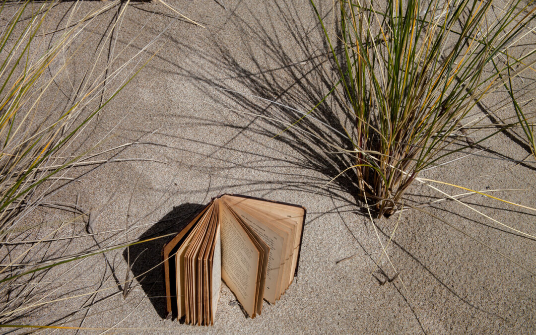 Tim Graveson: Books at the Beach, no knowledge was lost