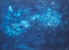 Hannah Perrine Mode, Planetarium (Tree), cyanotype-on-paper_44x60in_2018