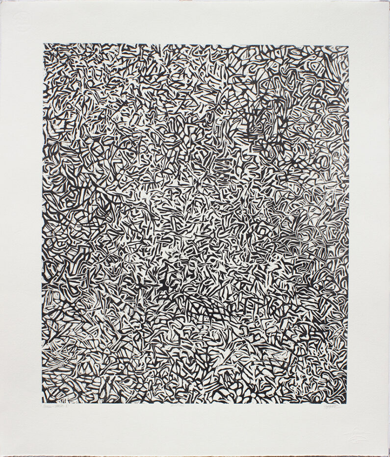 Susan Leone Howe, Grass State no.1, woodcut, 20.5 x 17 in, 2015