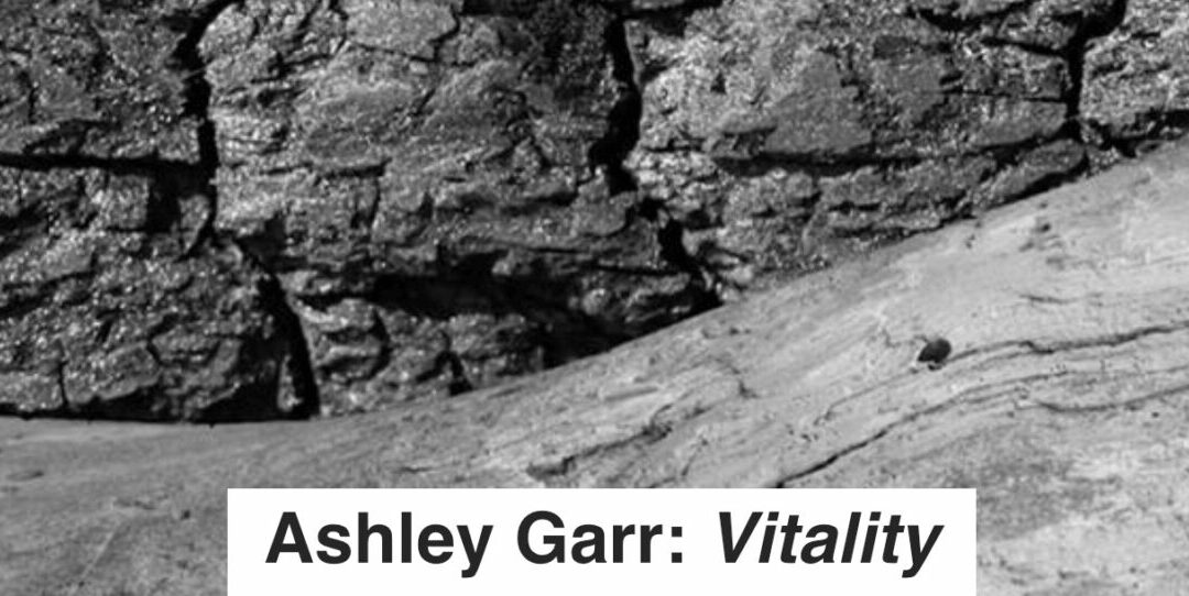 Ashley Garr: Vitality