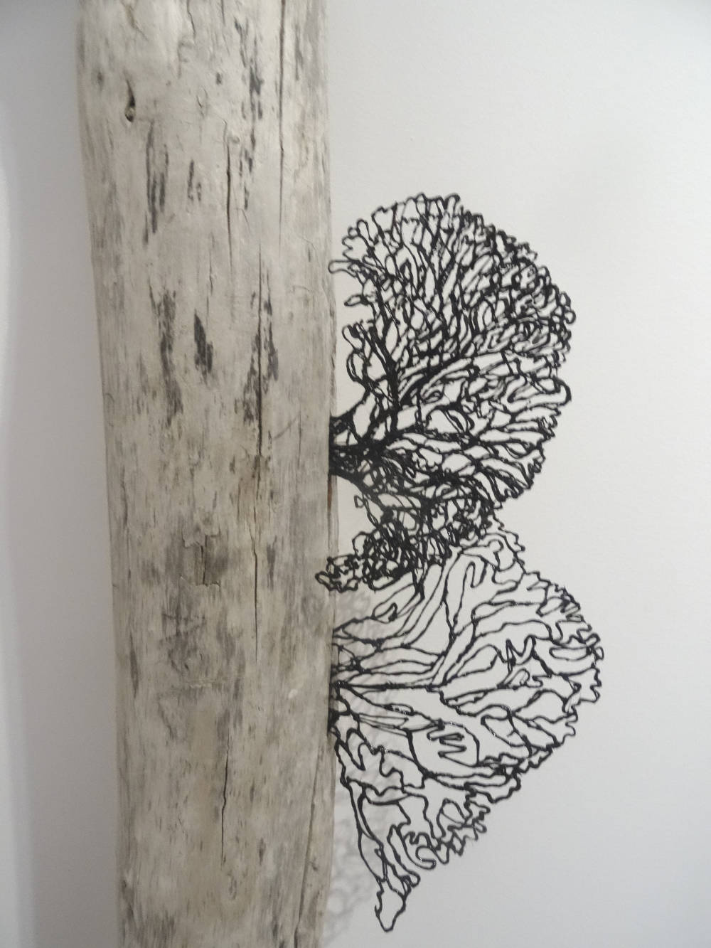 Anitta Toivio - SYMBIOSIS detail - 3D pen sculpture on found driftwood - irregular about 48in high