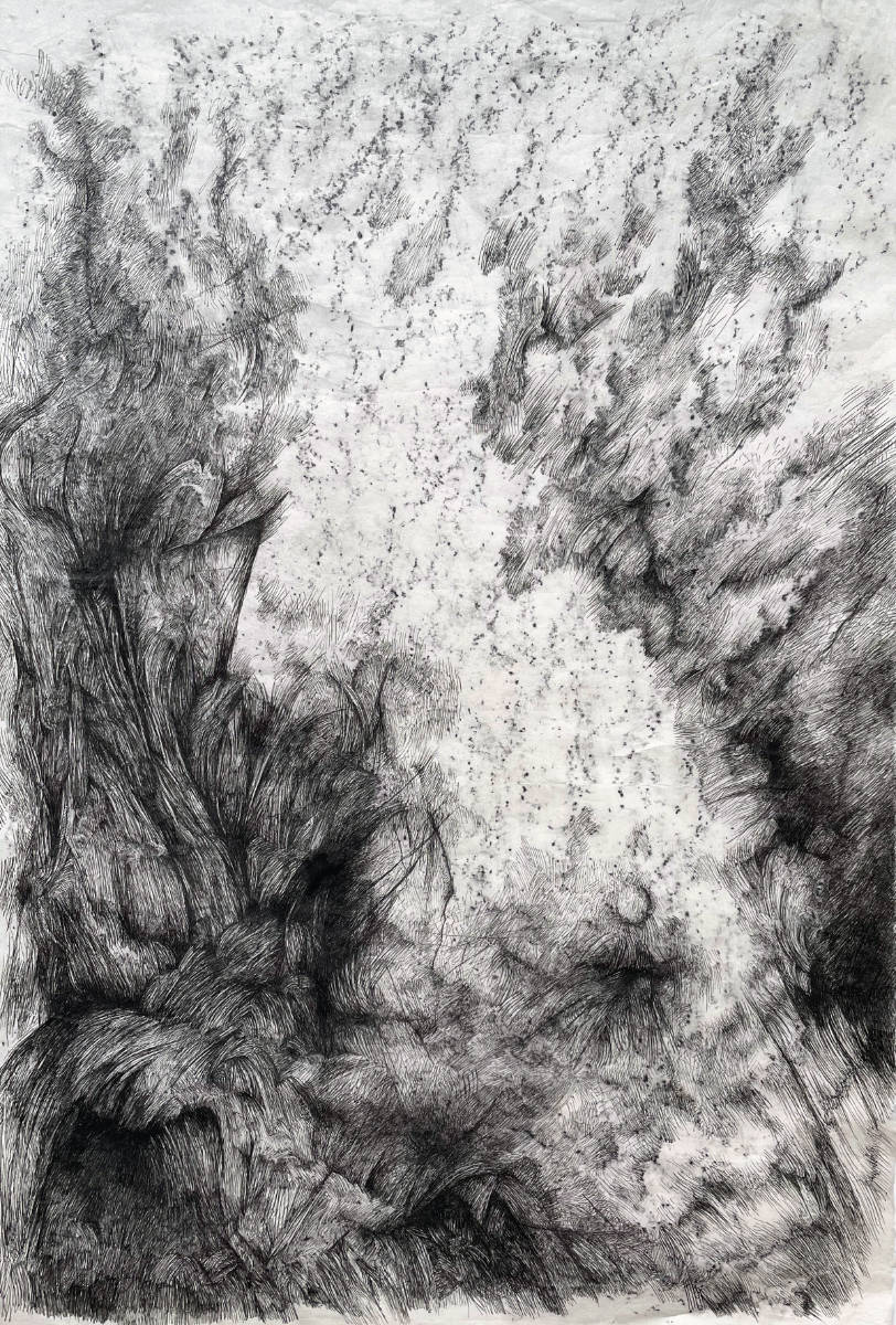 Zea Morvitz-Traces of An Ancient Landscape-graphite and ink-32x2