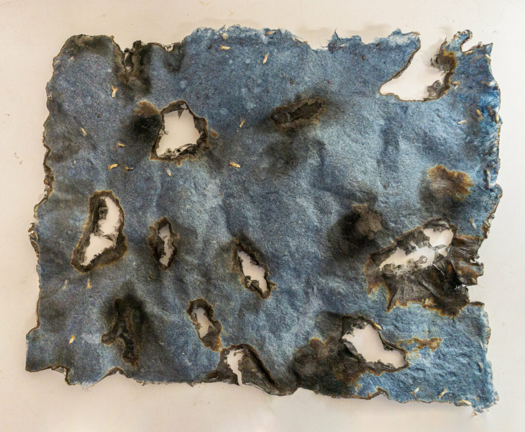 Jane Ingram Allen and Jami Taback - Burned Water Handmade Paper Detail