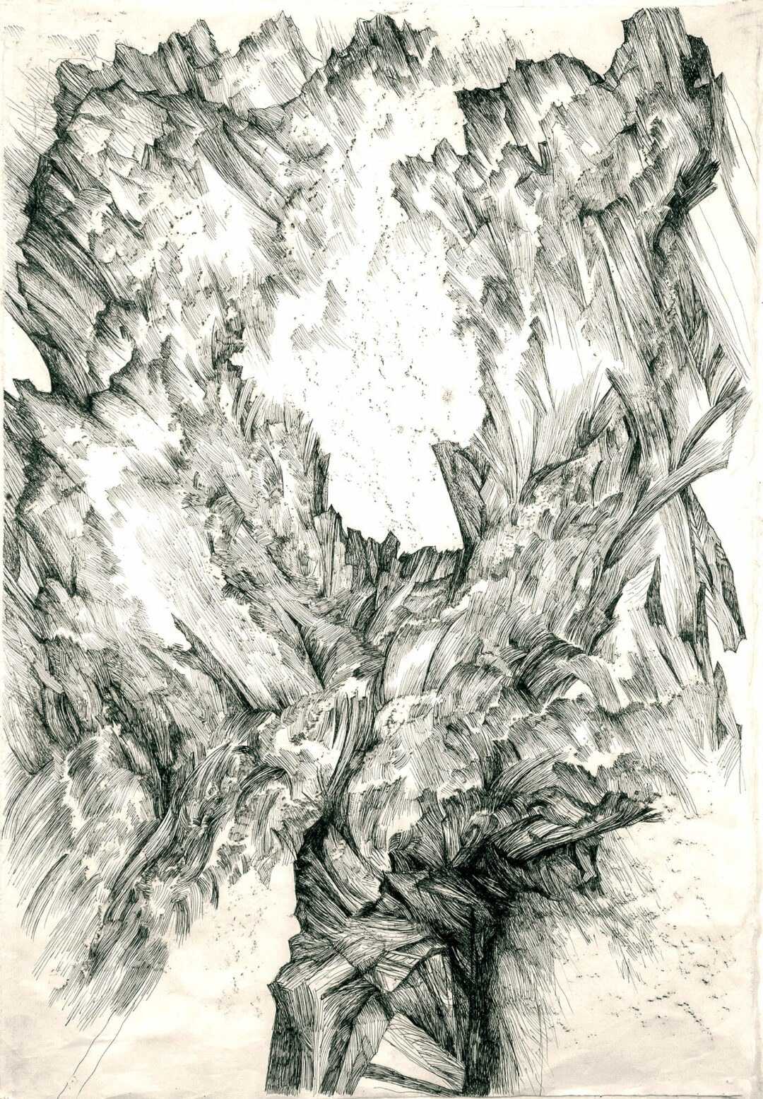 Zea Morvitz - Opening - graphite, ink on paper