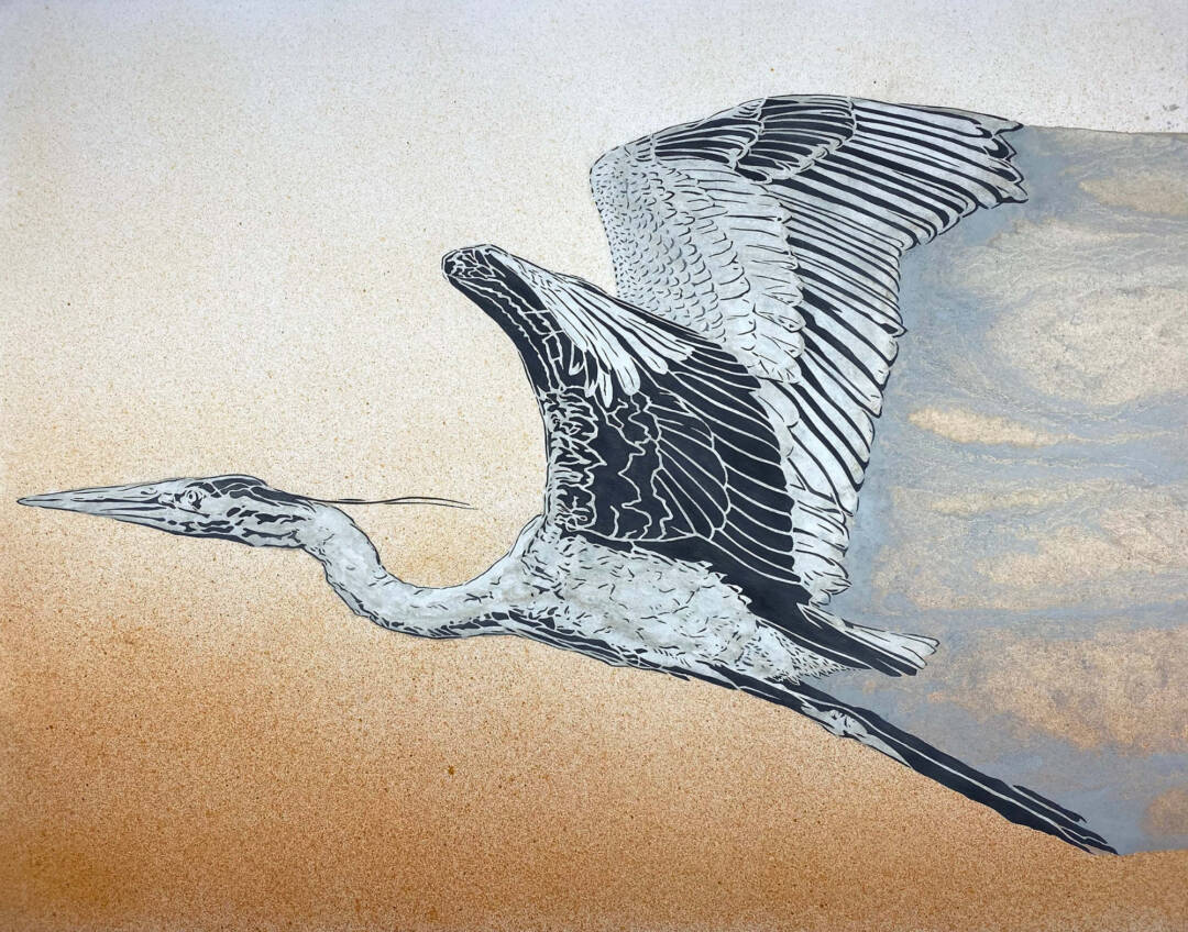 Xander Weaver-Scull - Blue Heron - 22in x 28in