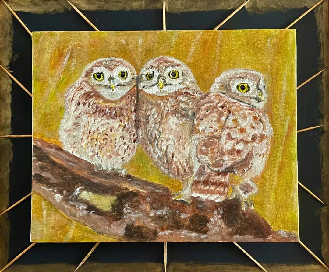 EA Zappa - Barn Owls - oil on canvas board - 8in x 10in