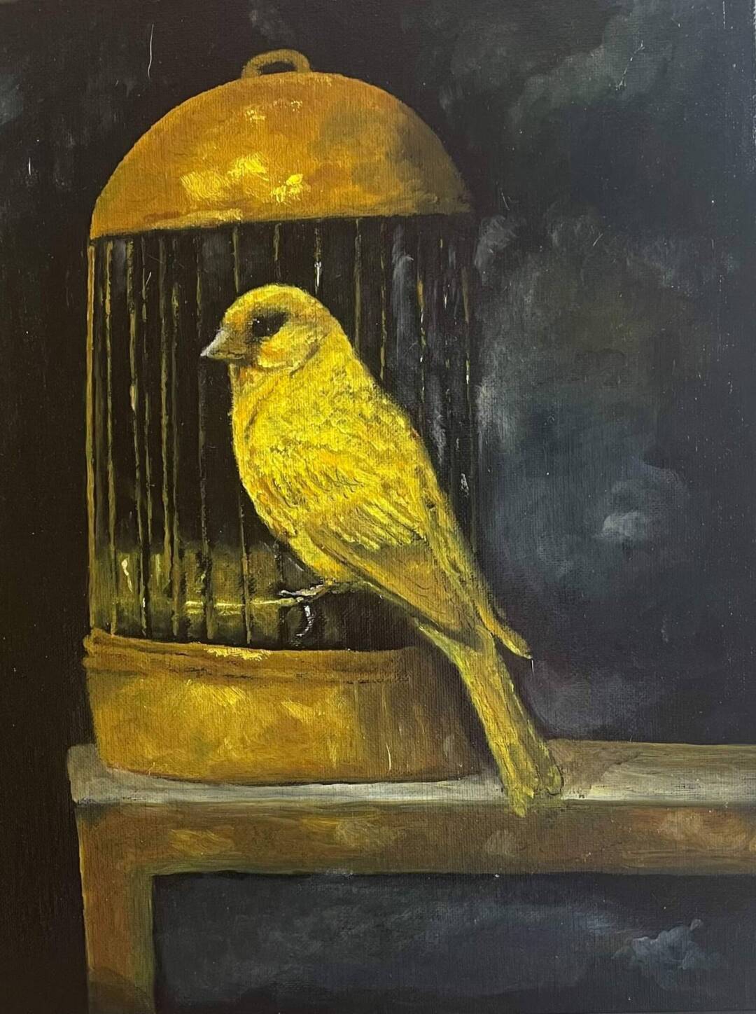 EA Zappa - Canary - oil on canvas board - 11in x 14in