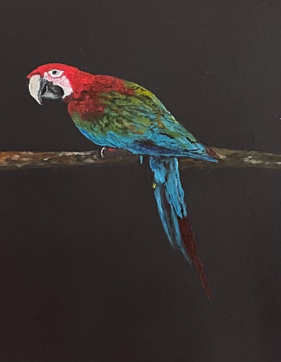 EA Zappa - Greenwinged Macaw - oi on canvas board - 11in x 14in