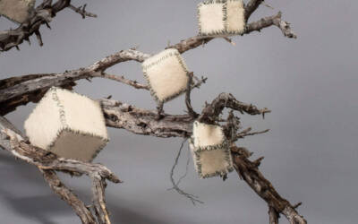 Renee Owen: Adrift: A Landscape of Loss