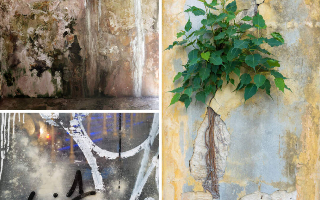 Charles Anselmo, Henry Bortman & Patricia Scott Winslow: Surface Tension