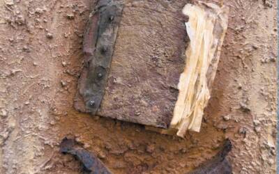 Mary Mountcastle Eubank: Sometimes a Book