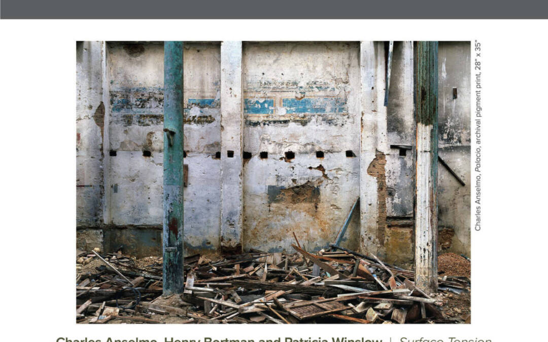 GRO Exhibition Press Release: November – December, 2025