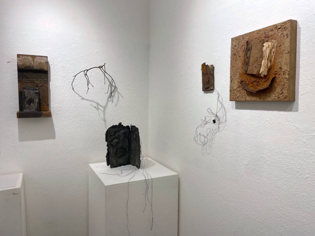 GRO Gallery-Mary Mountcastle Eubank-2025-full