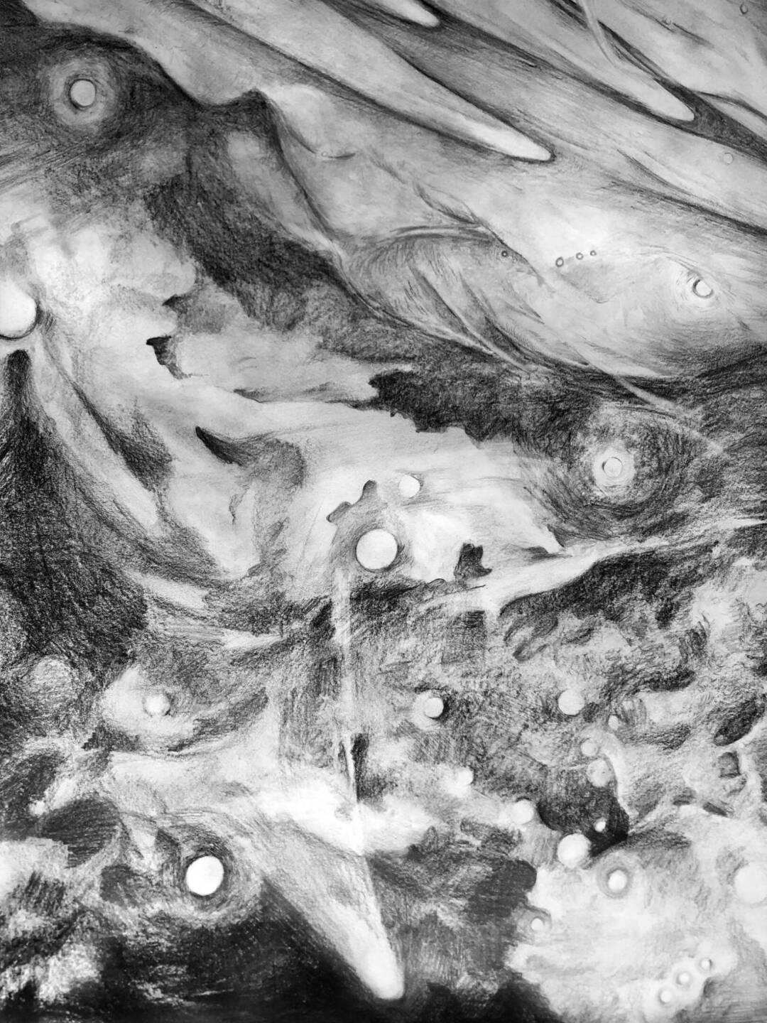 Megan Broughton - Work in Progress 2 - graphite drawing - 2.5ft x 3.5ft