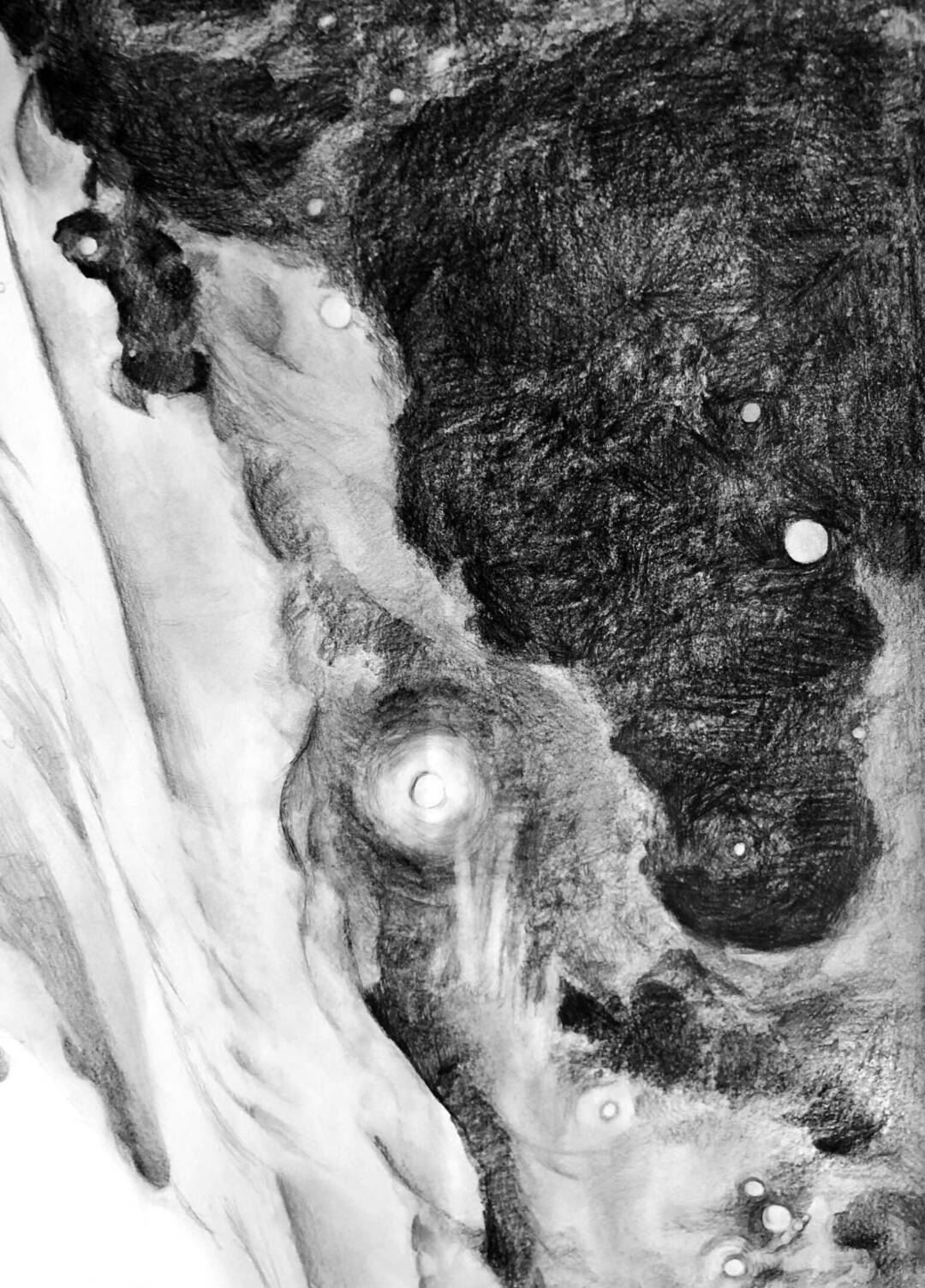 Megan Broughton_ - Work in Progress 1 - graphite drawing - 2.5ft x 3.5ft