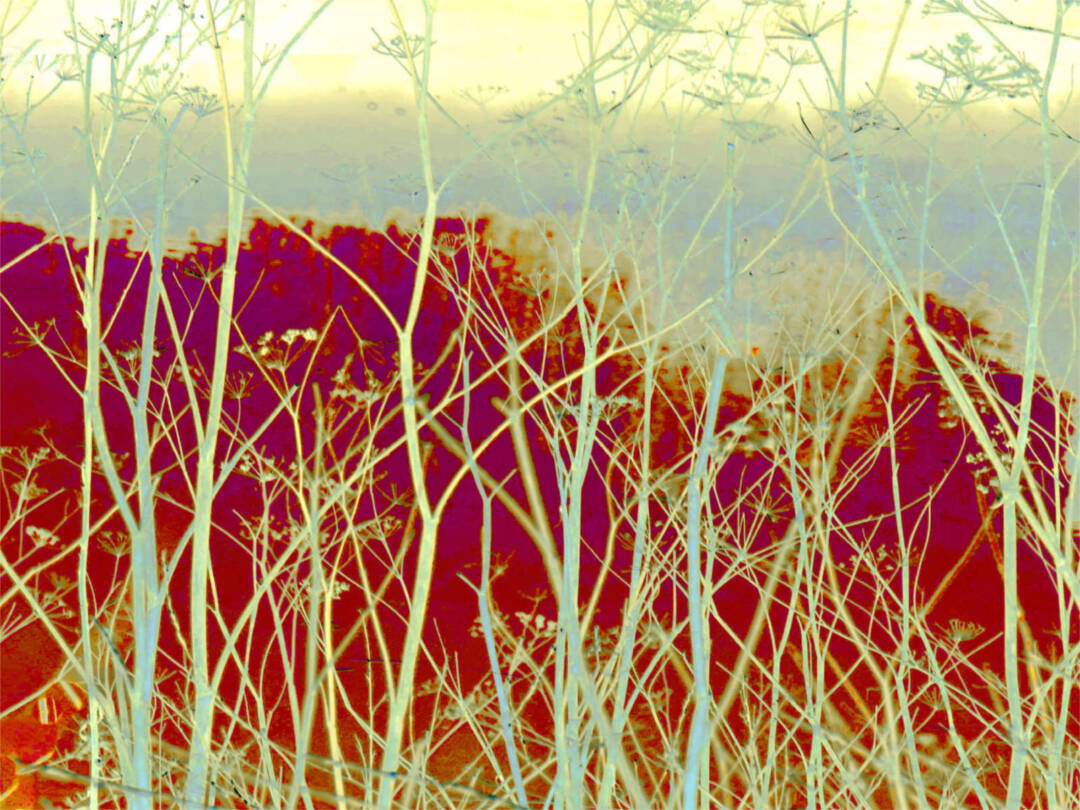 GRO Juried Exhibition 2026 - Abts