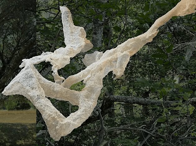 Listening to Trees Gallery Route One Logo