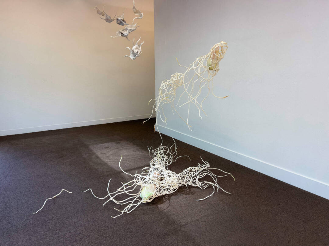 Rainey Straus - Entangling - Mixed Media - 4ft x 4.5ft x 5ft