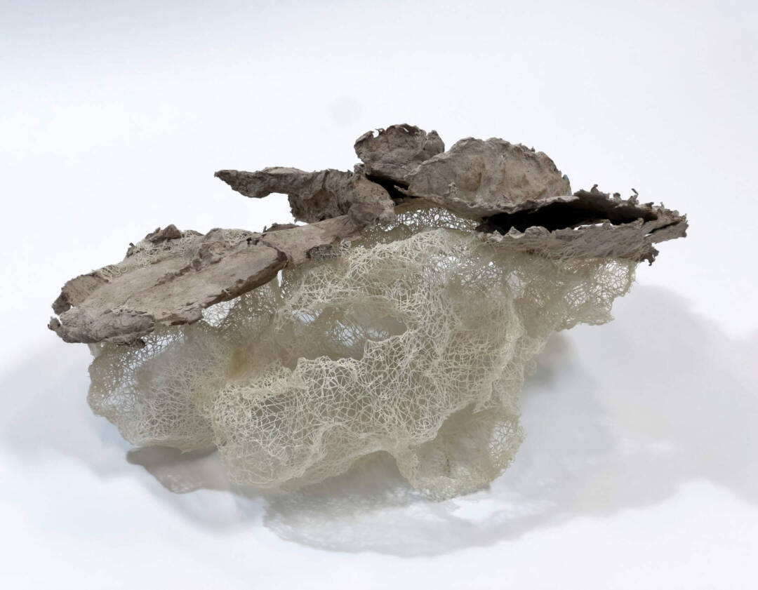 Rainey Straus - Fruiting - Mixed Media -28 x 21 x 17