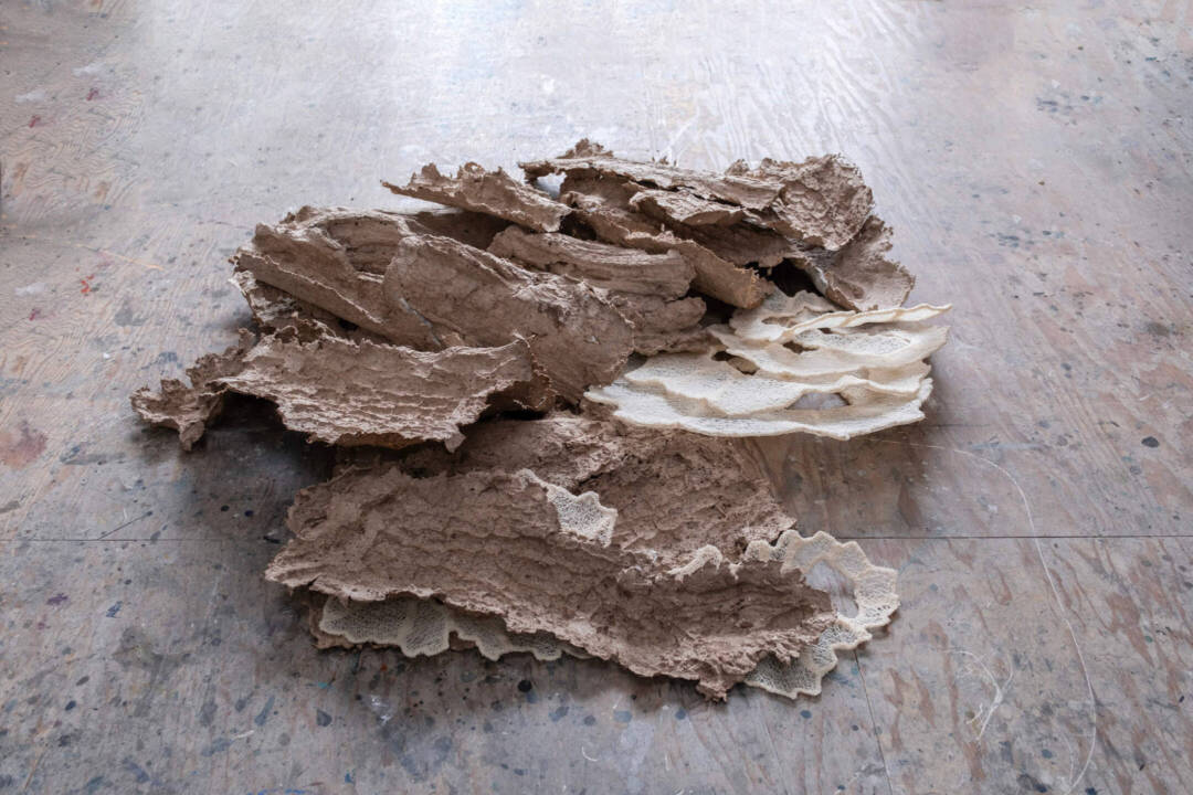 Rainey Straus - Mattering - Mixed Media - 6ft x 7ft x 20