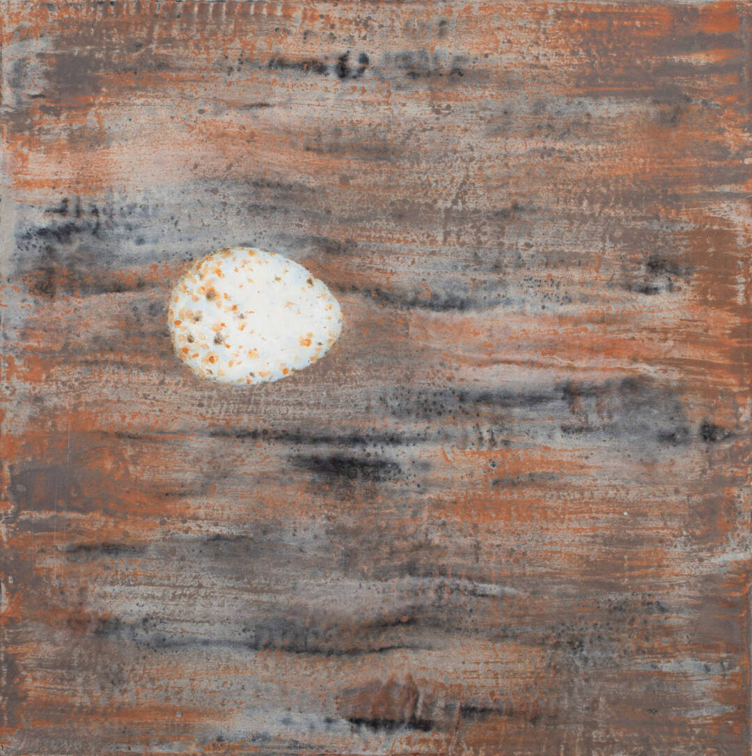 Arminee Chahbazian - Planet Catherpes Mexicanus (Canyon Wren) - Oil and Encaustic on Panel - 16in x 16in