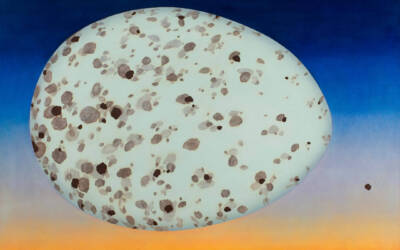 Arminée Chabazian: Biggest Little Worlds