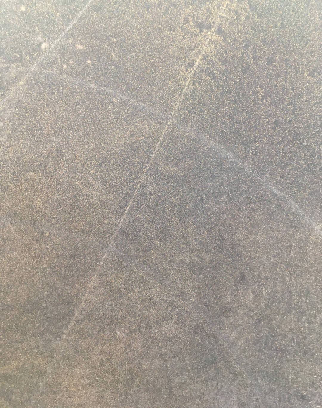 Jenny-Lynn Hall - Division of Unity 4