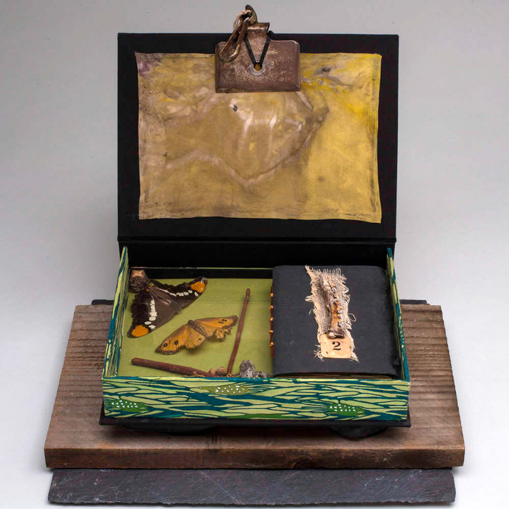 Renee Owen - Insect Life - Artist Book and Specimen Box - 9in x 11.8in